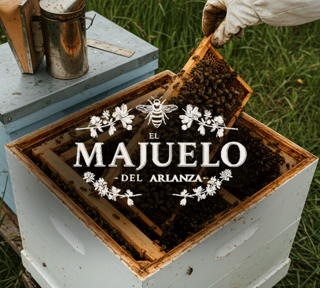 El Majuelo del Arlanza: detalle visual de packaging y branding para miel artesanal realizado por DAROX